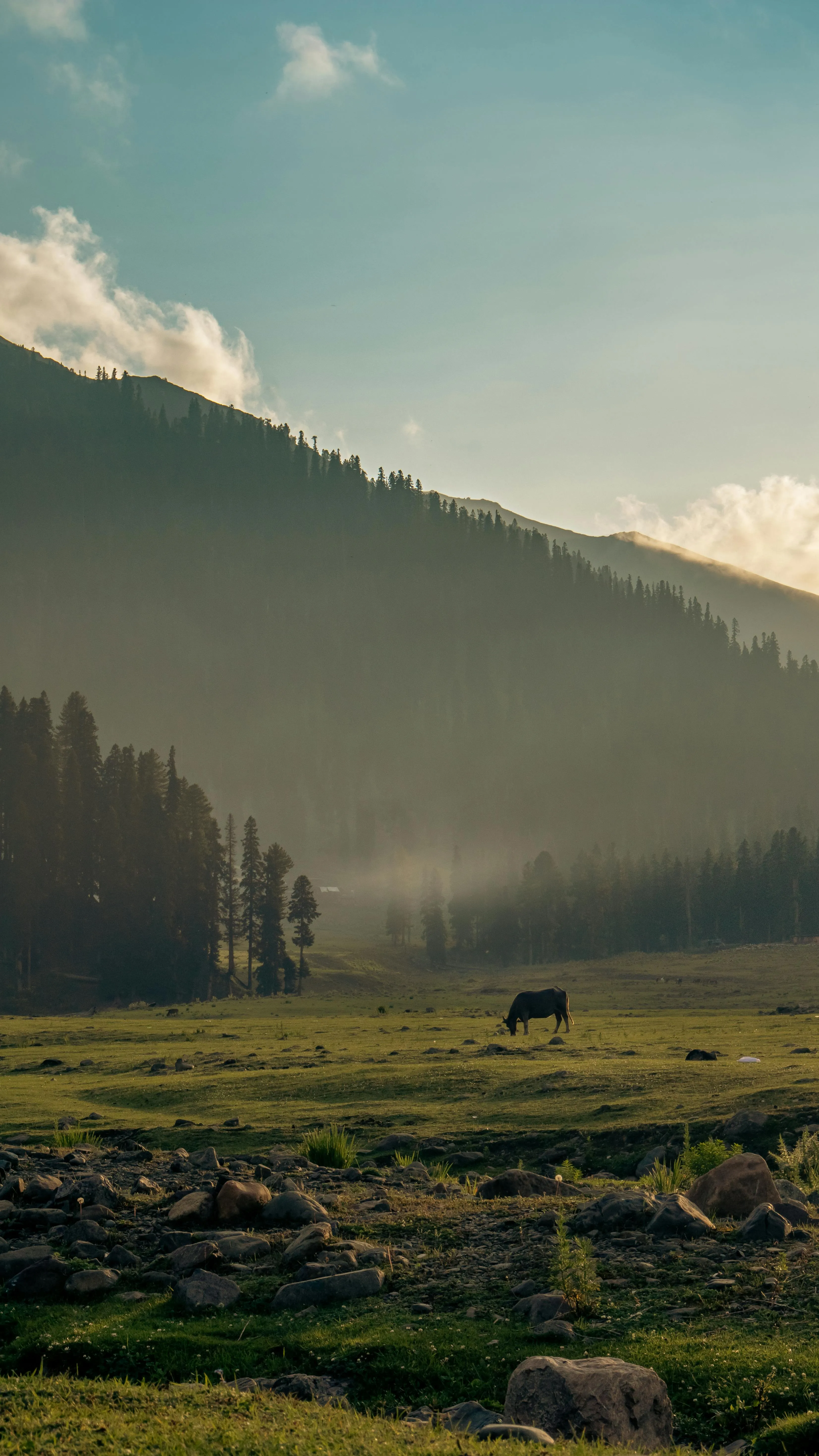Kashmir — Heaven on Earth & Alpine Wonders