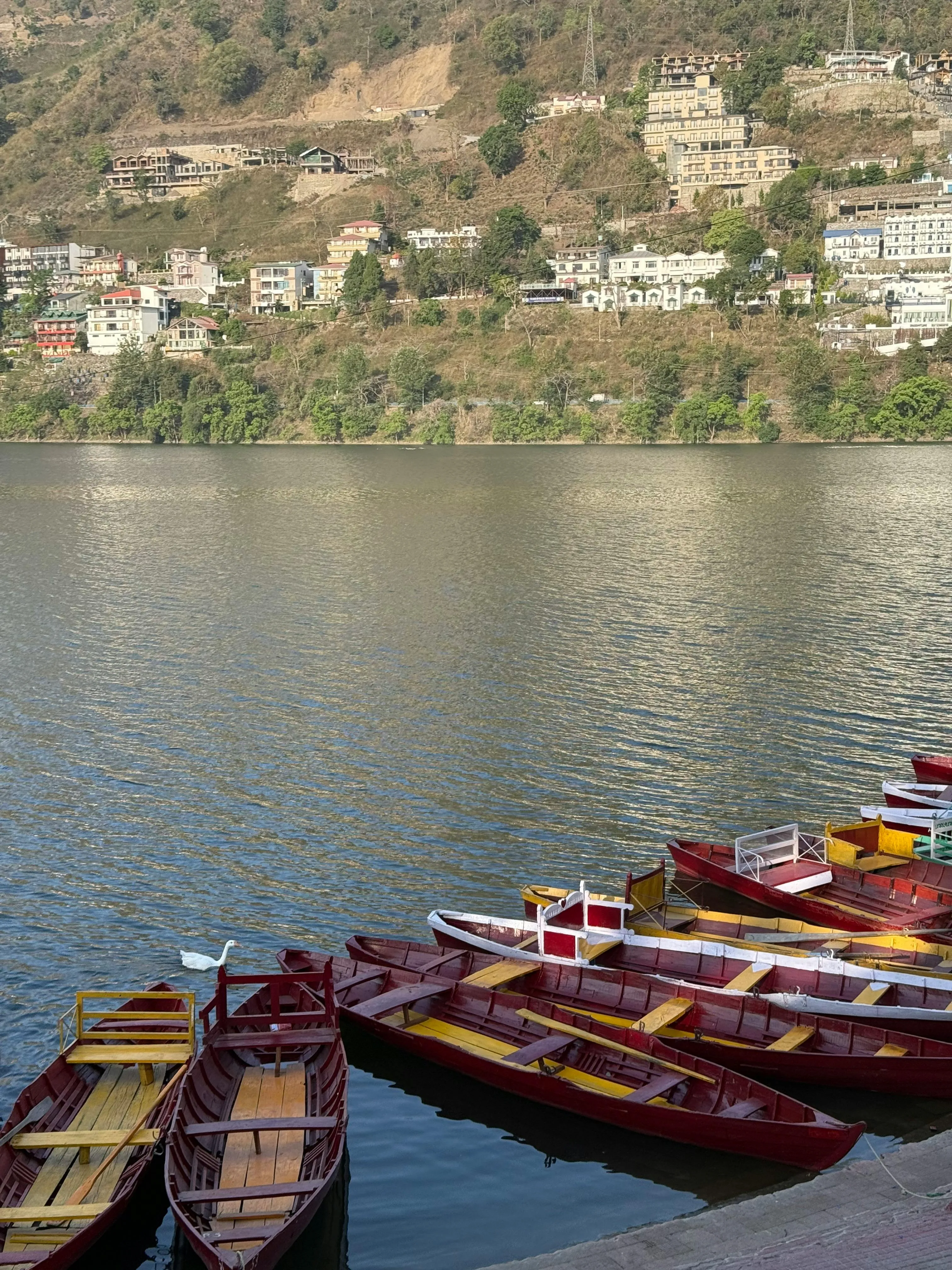 Nainital — Emerald Lakes & Misty Ridges